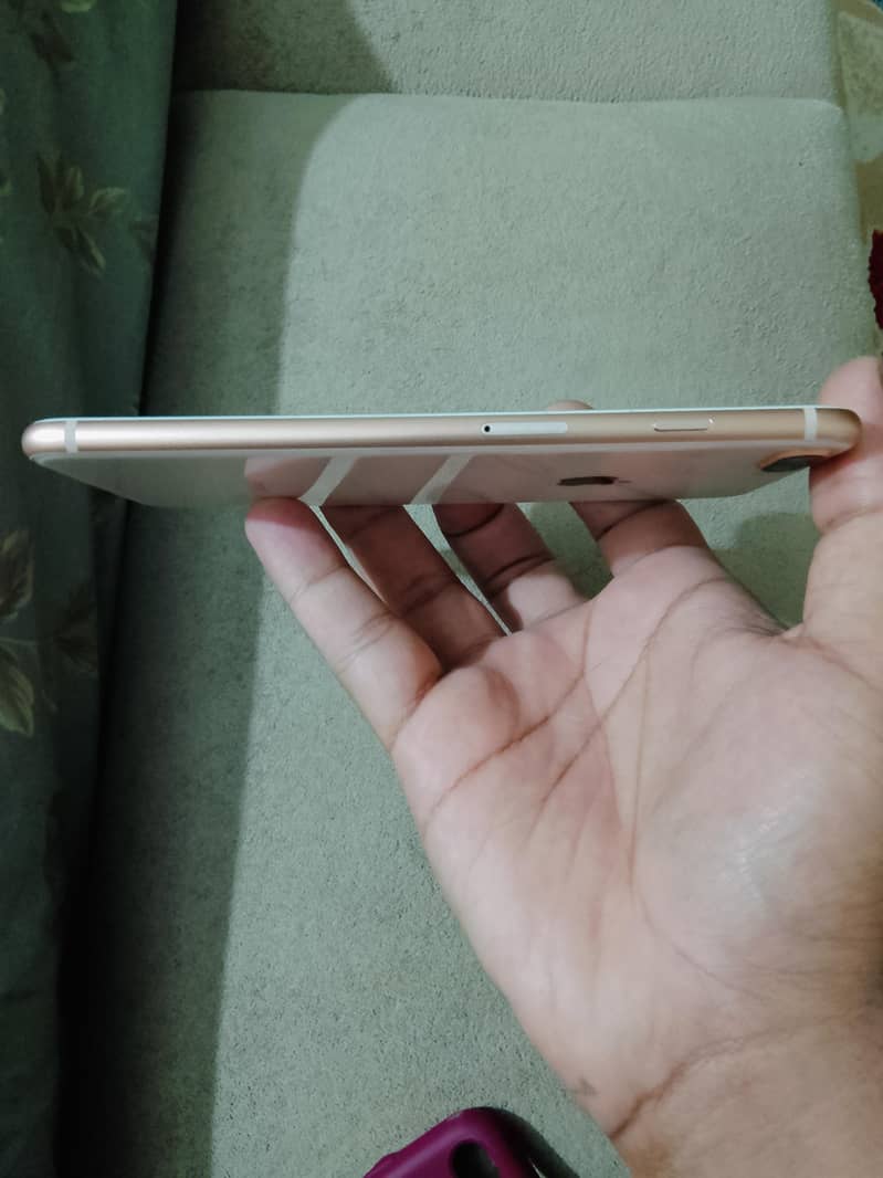 Apple iPhone 8 Plus 2