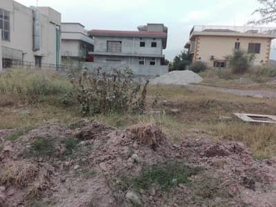 Most Top Location F-7/2 Plot
