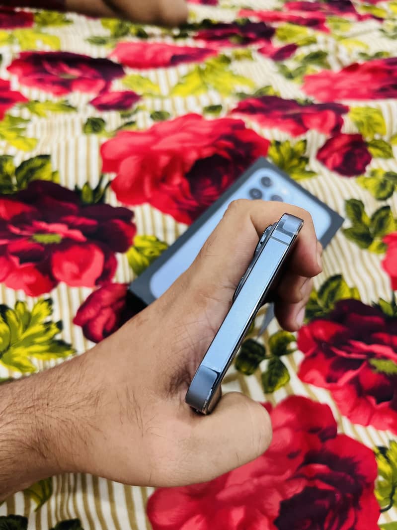 Apple iPhone 13 Pro Max 1