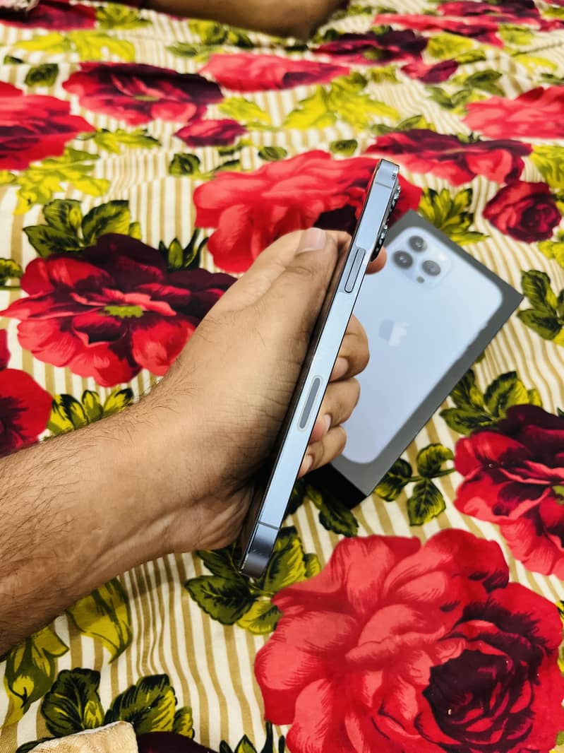 Apple iPhone 13 Pro Max 2