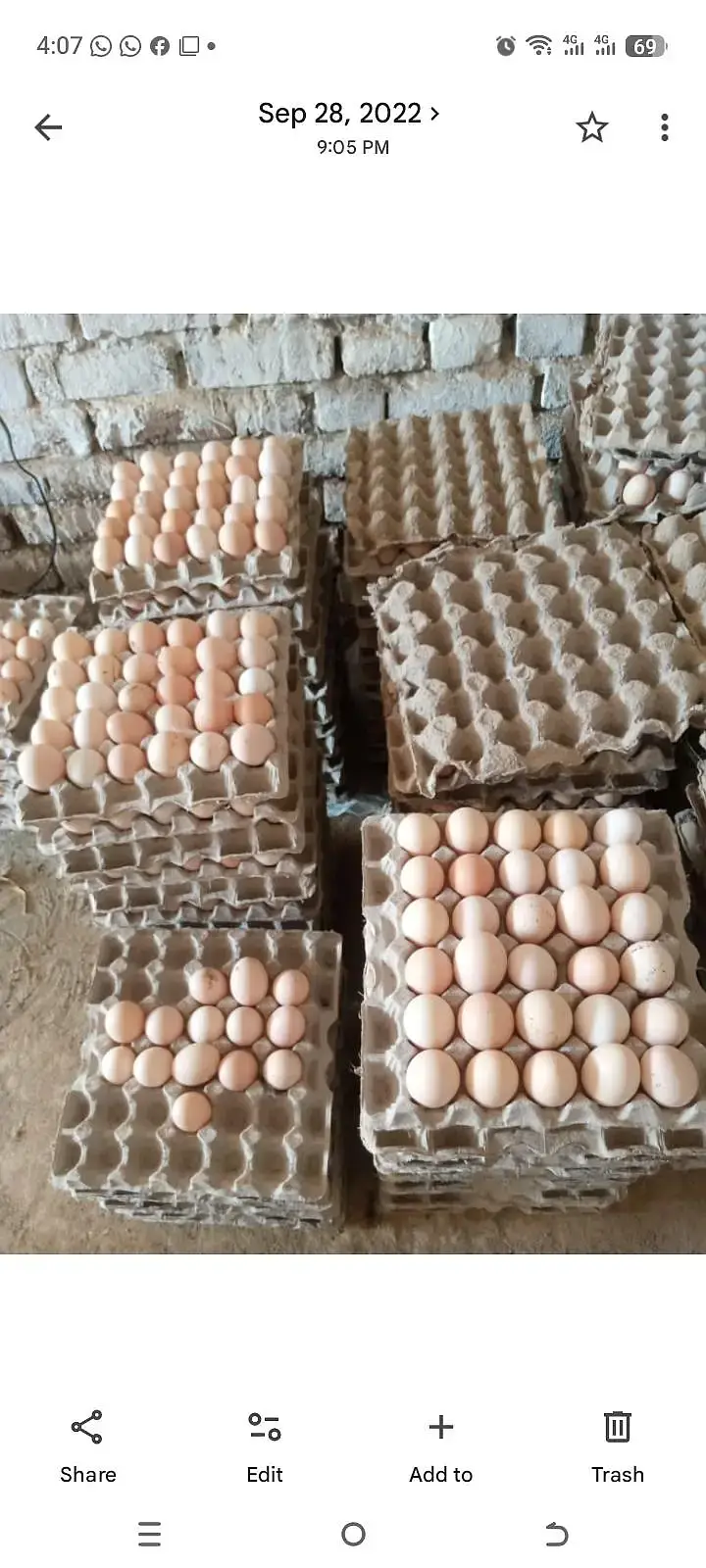 Dasi Eggs /eggs / hen eggs /farmi Eggs — photo 4