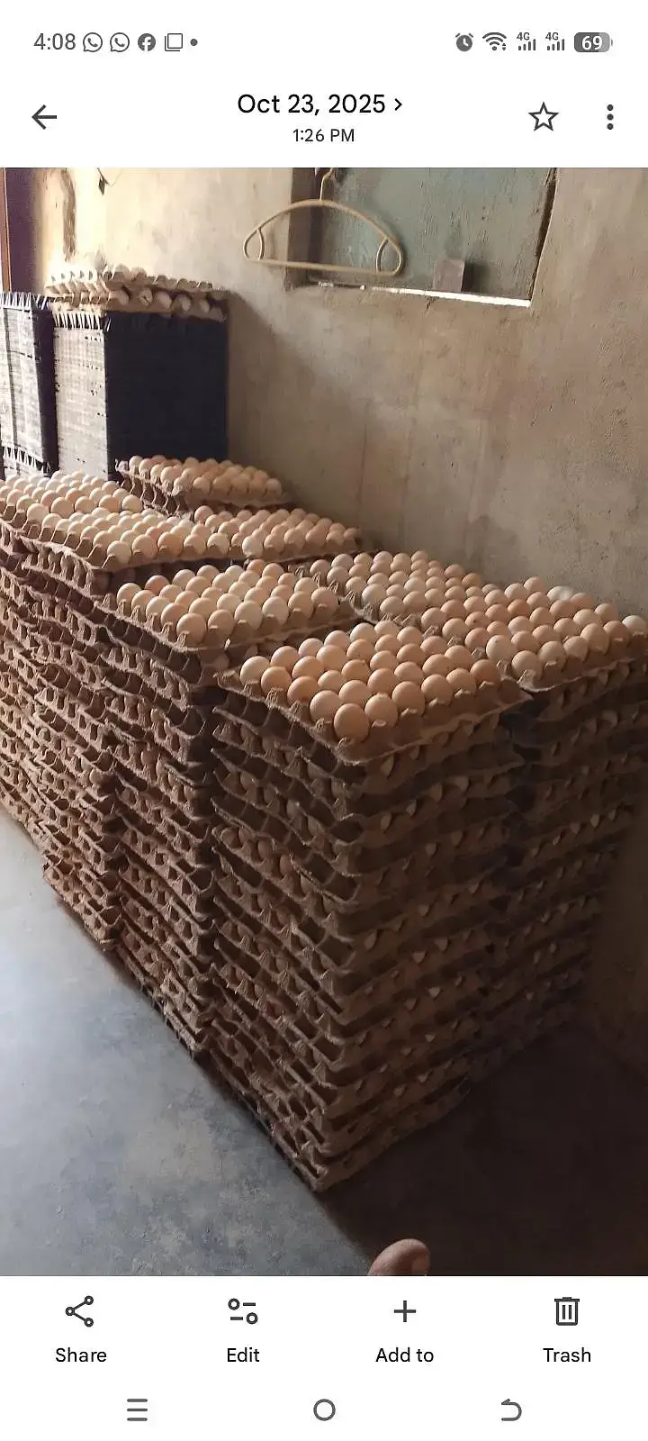 Dasi Eggs /eggs / hen eggs /farmi Eggs — photo 2