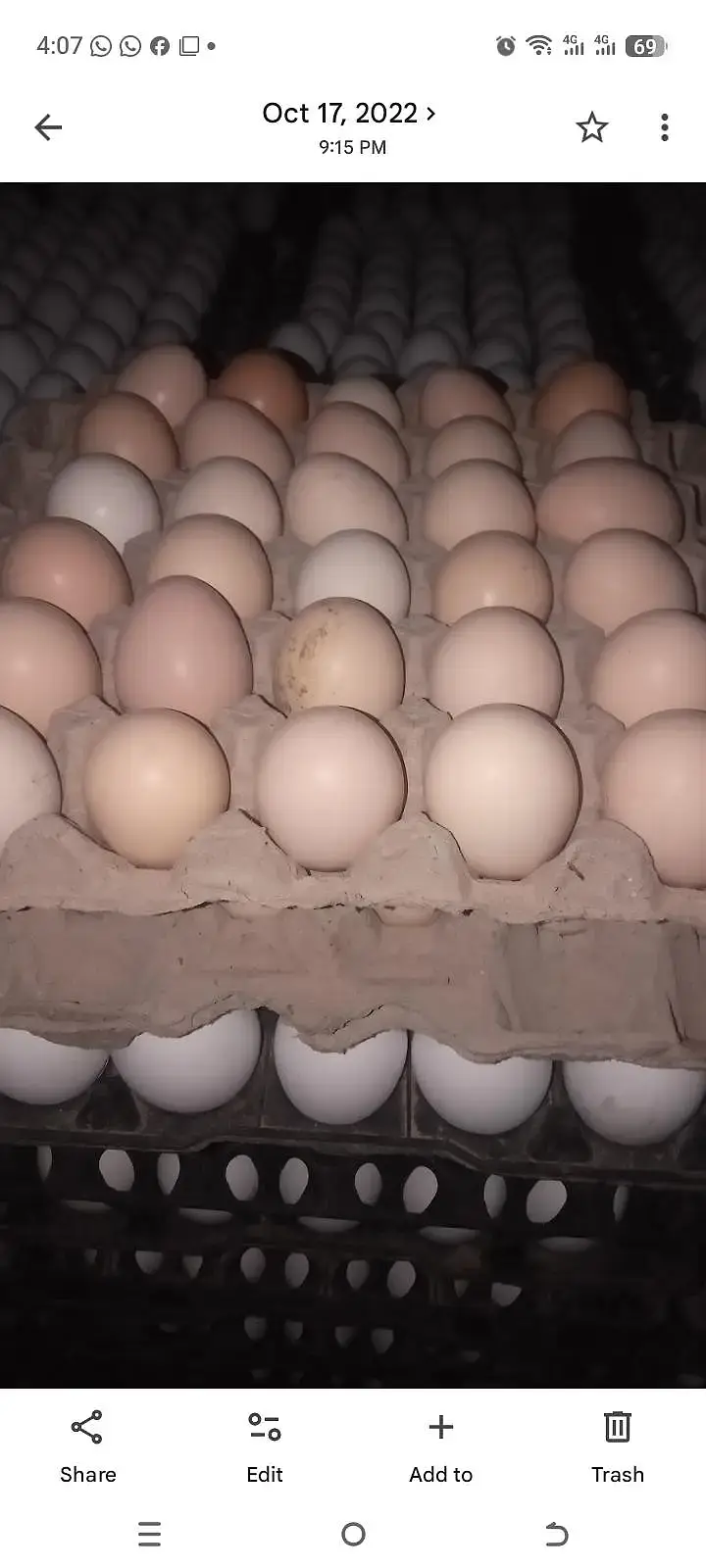 Dasi Eggs /eggs / hen eggs /farmi Eggs — photo 3