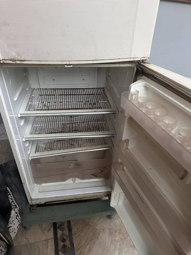 Fridge 2