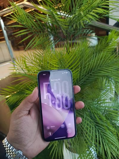Apple iPhone 13