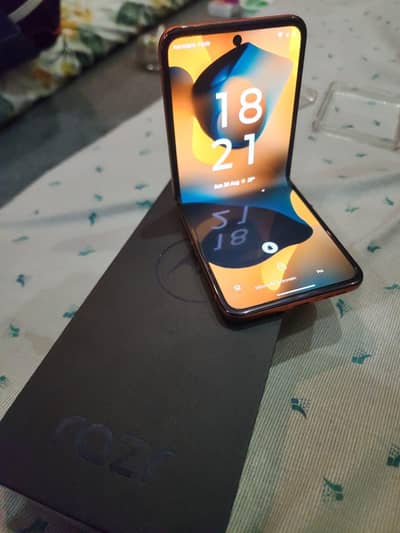 Motorola Razr 50