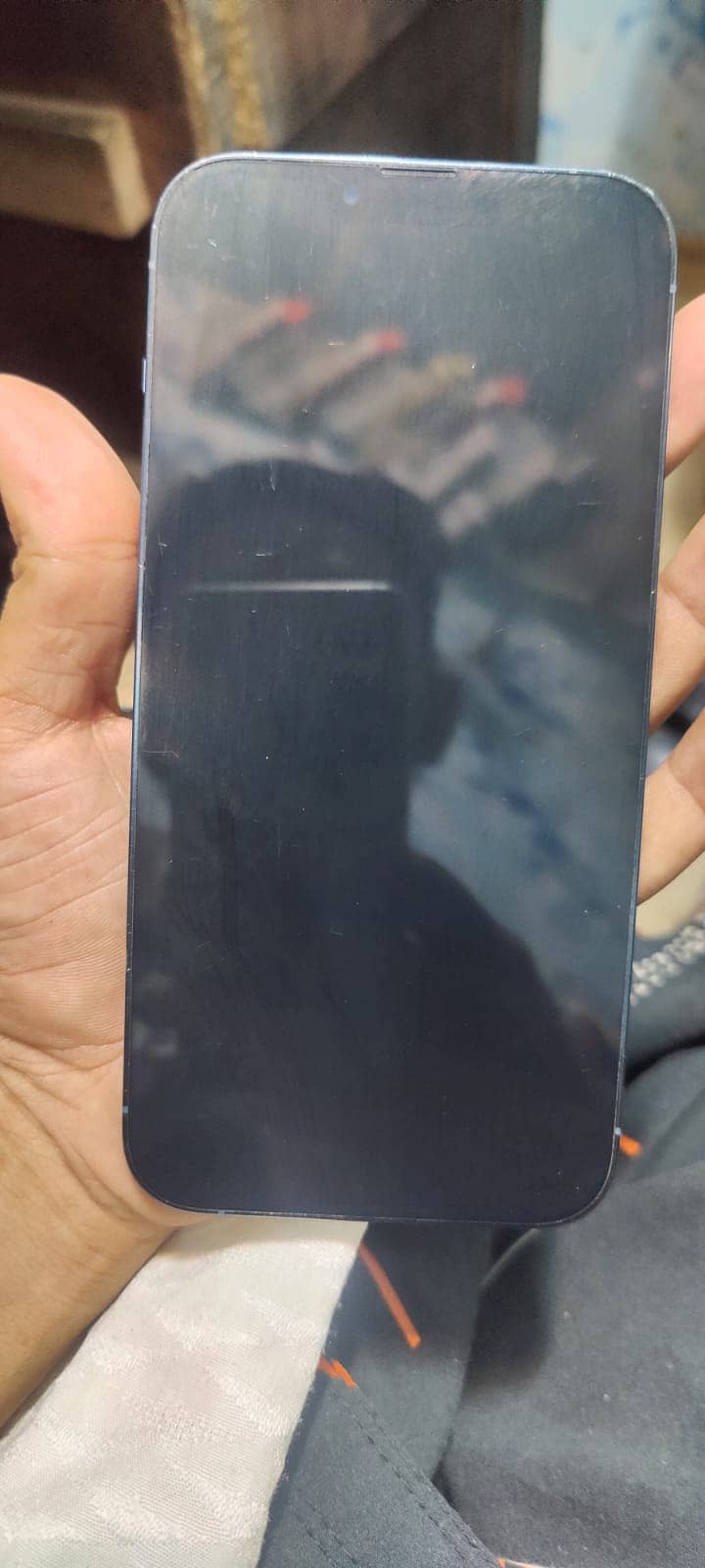 Apple iPhone 13 Pro Max 1