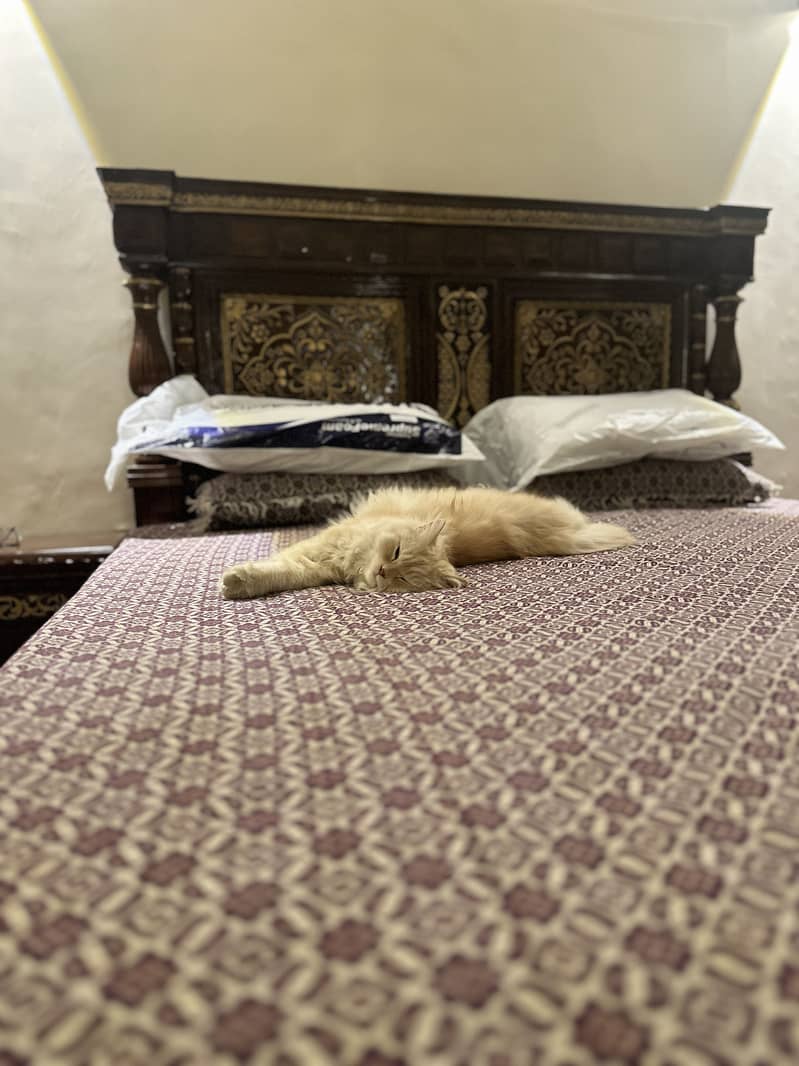 Solid sheesham wood bed set complete 3