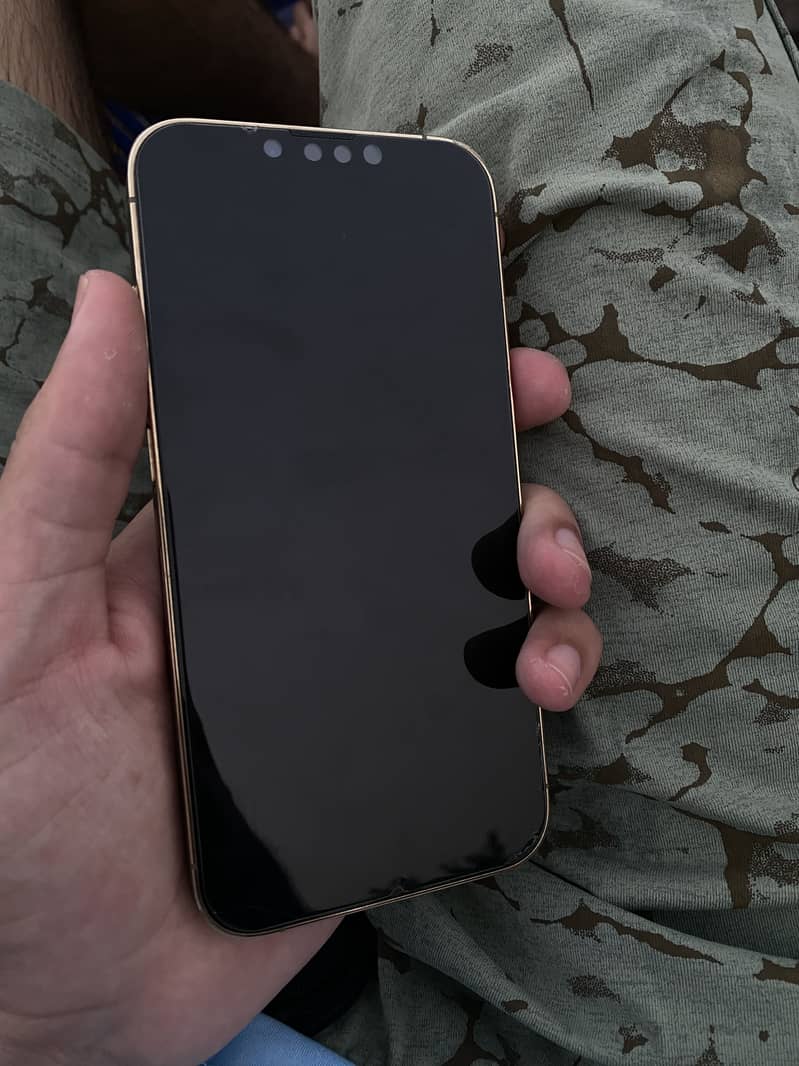 Apple iPhone 13 Pro 0