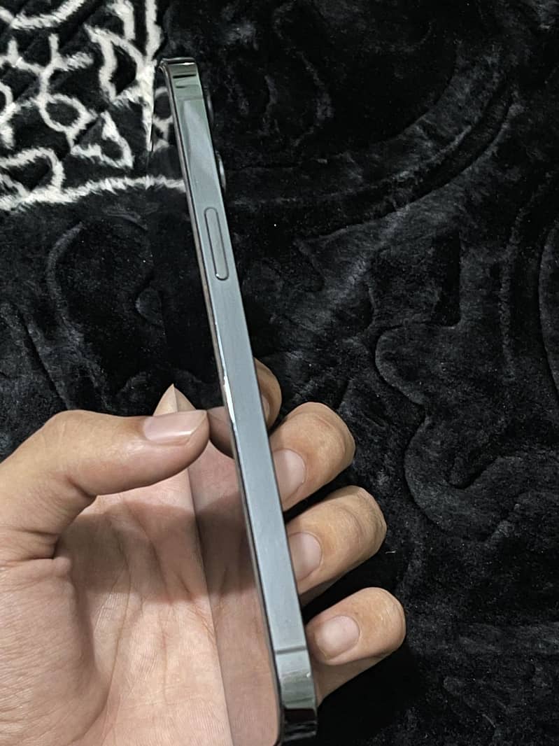 Apple iPhone 12 Pro Max 1