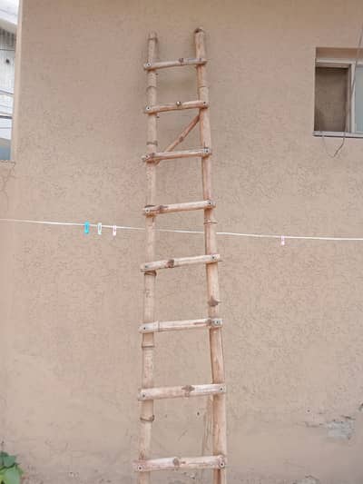 Ladder 10 feet + length