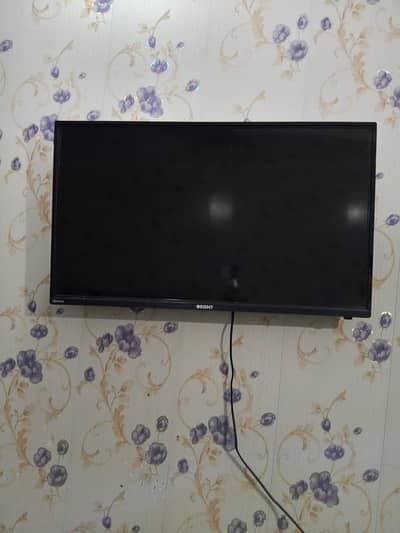 Orient tv