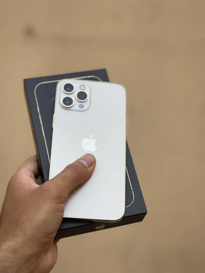 Apple iPhone 12 Pro Max