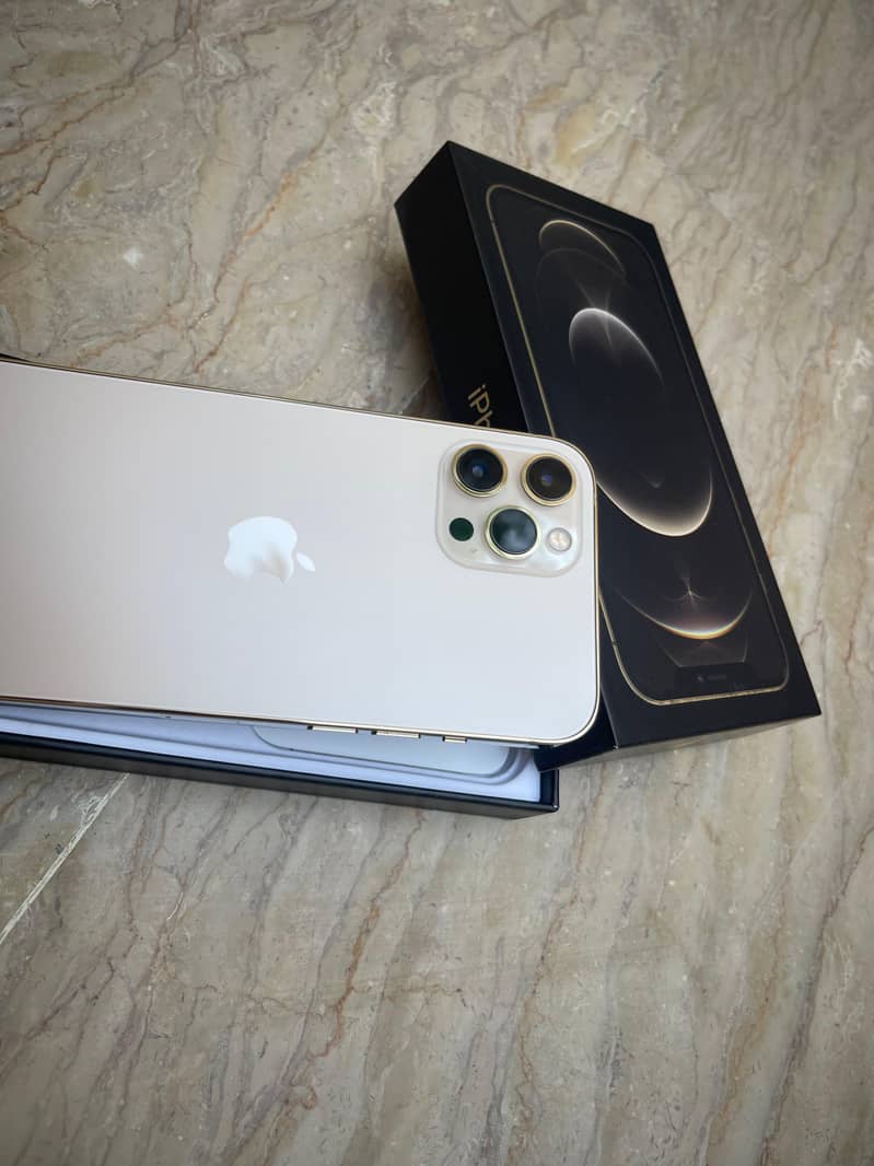Apple iPhone 12 Pro Max 1