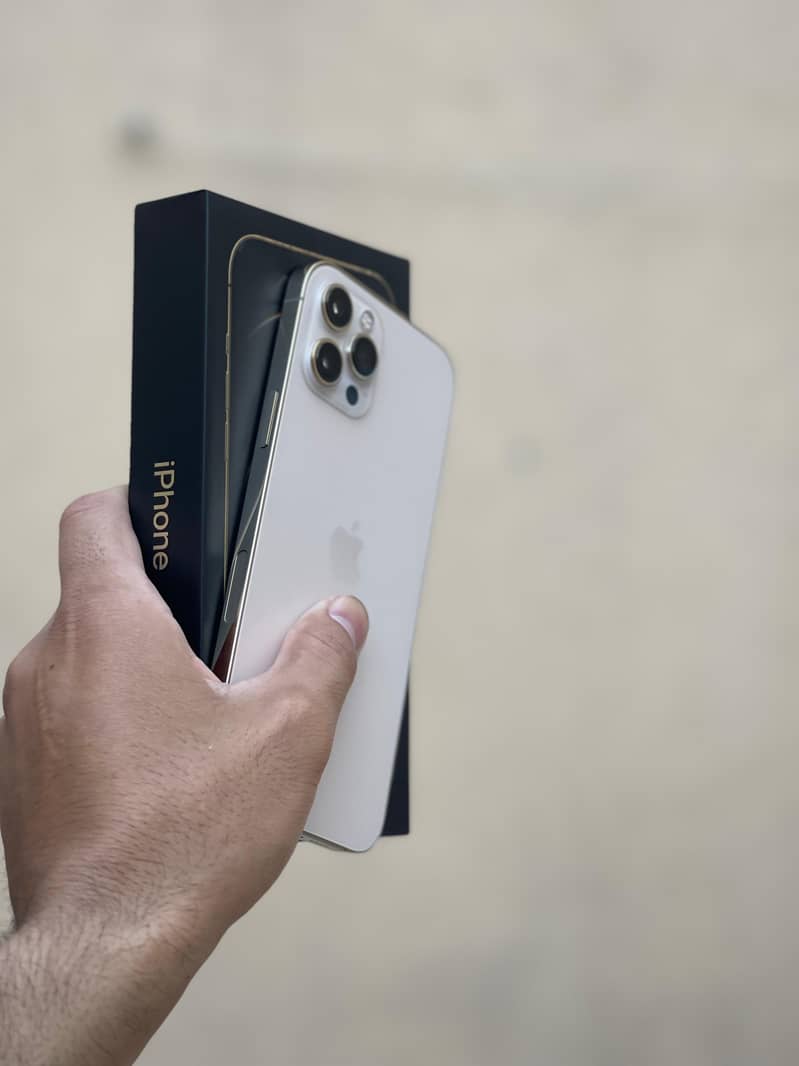 Apple iPhone 12 Pro Max 2