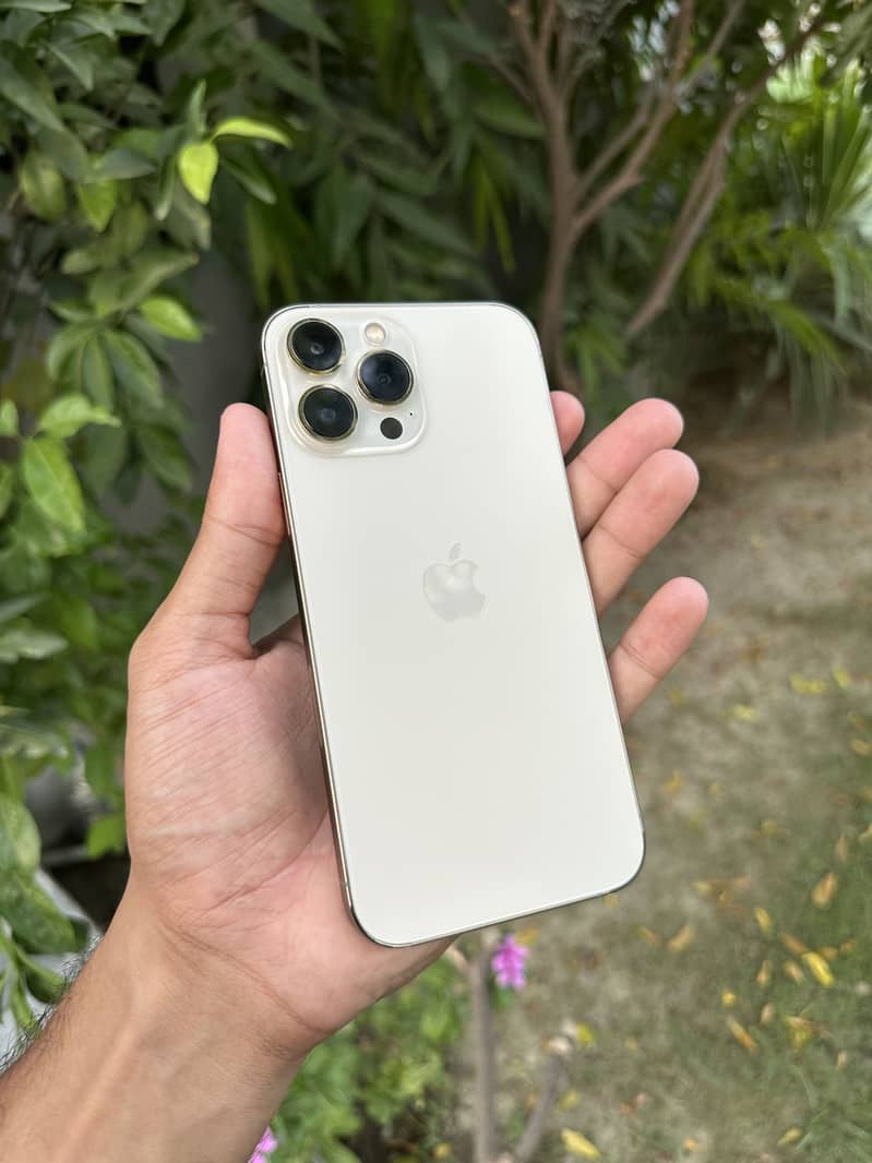 Apple iPhone 13 Pro Max 1