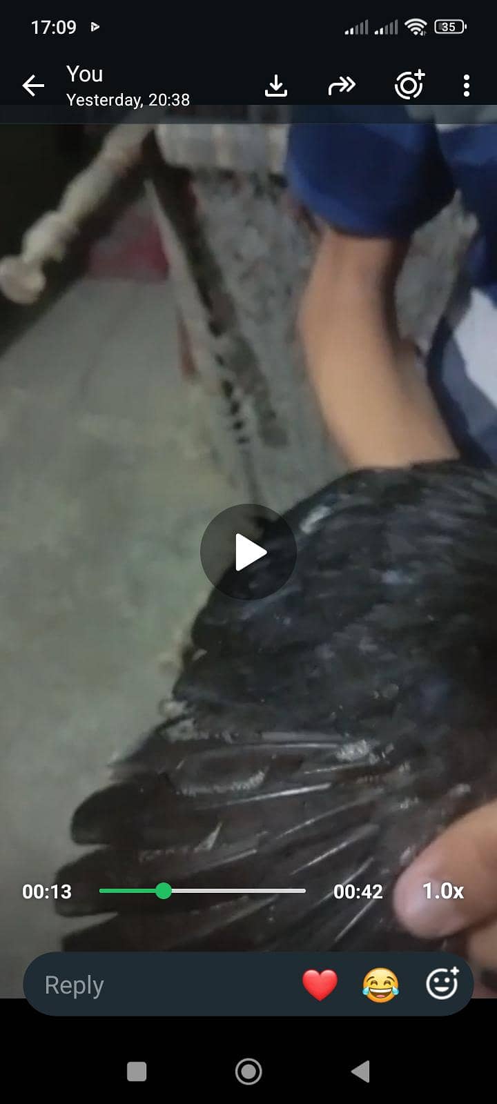 Mushki pathi 1