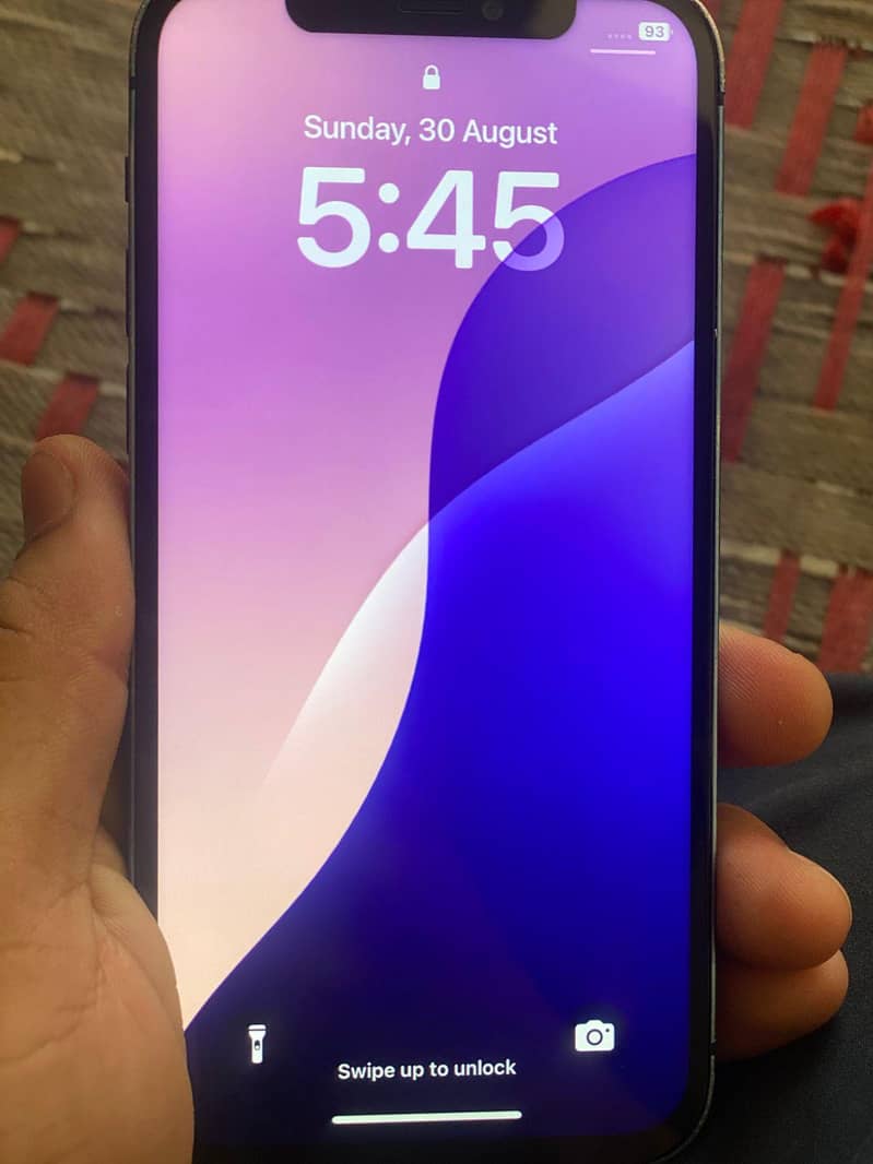iphone 12 panel change 1