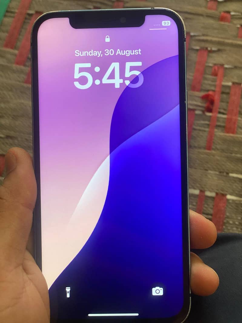 iphone 12 panel change 2