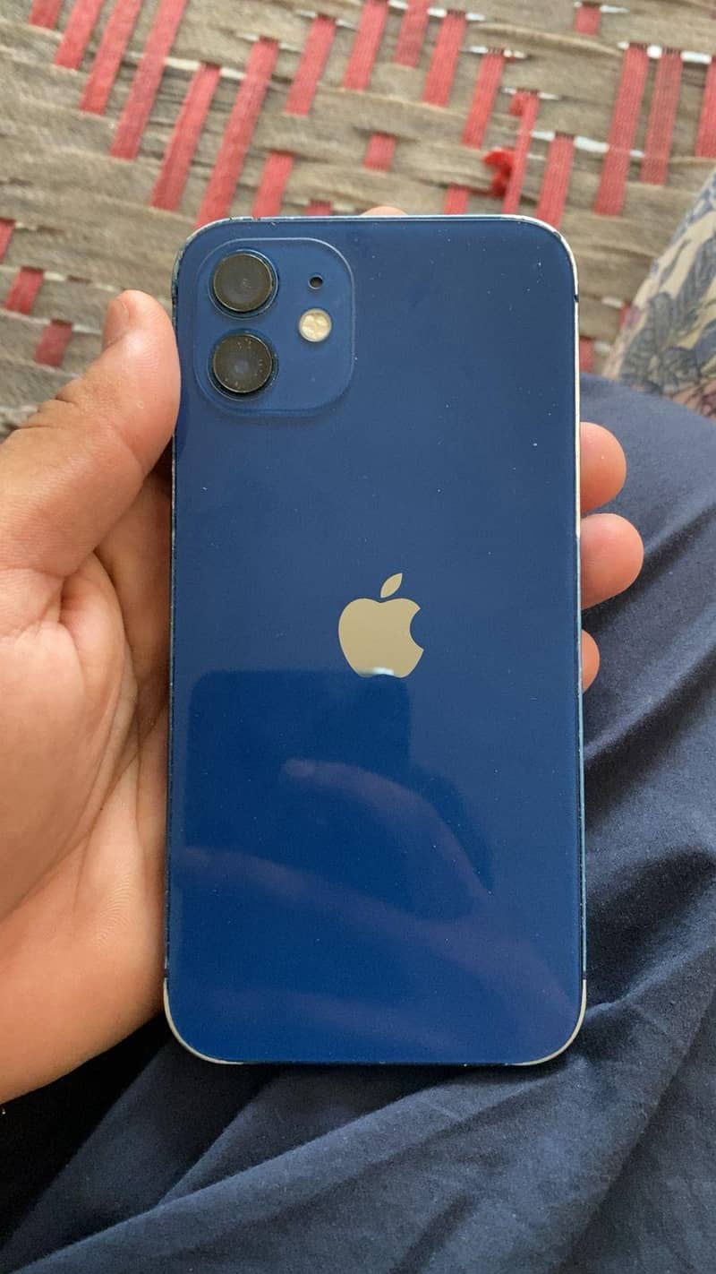 iphone 12 panel change 3
