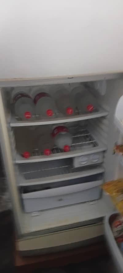 Pel Fridge