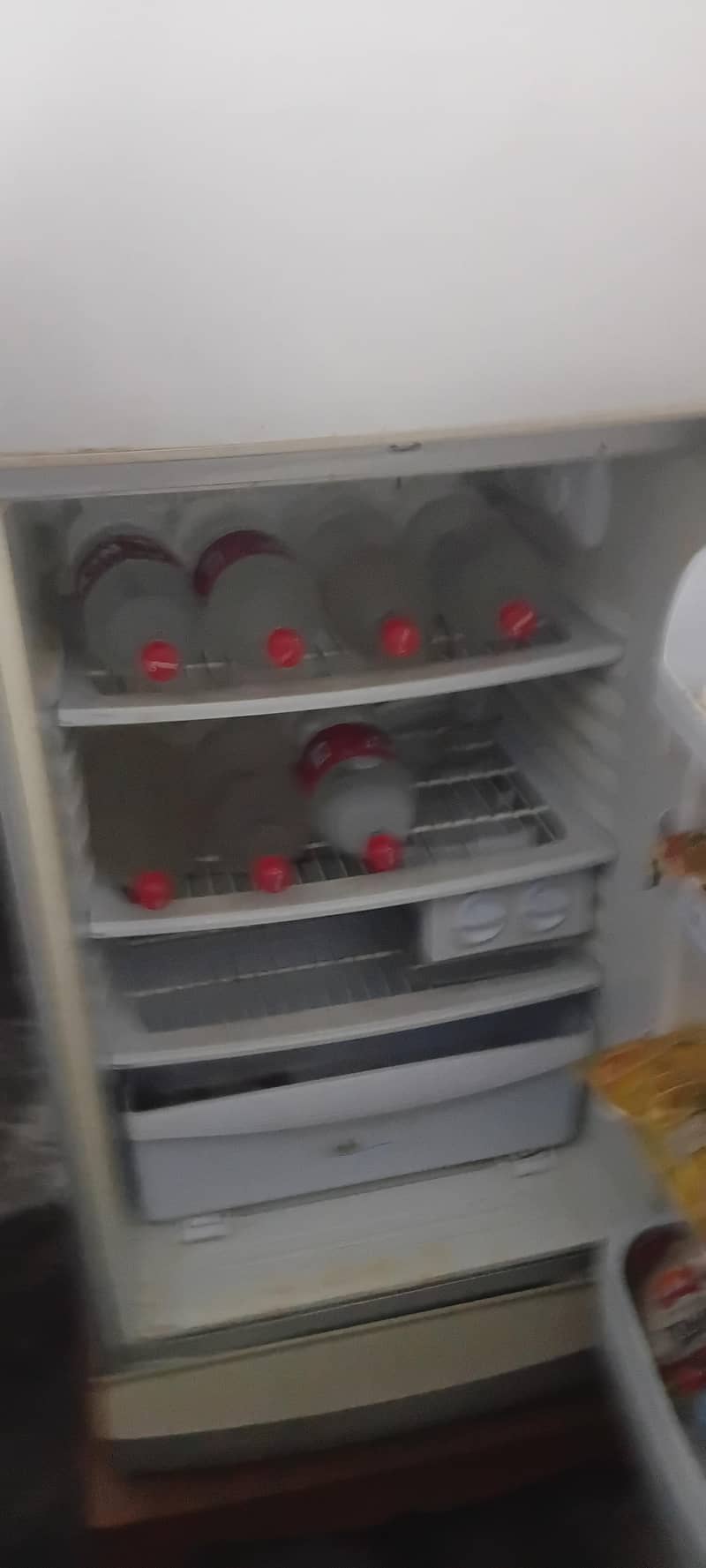 Pel Fridge 0