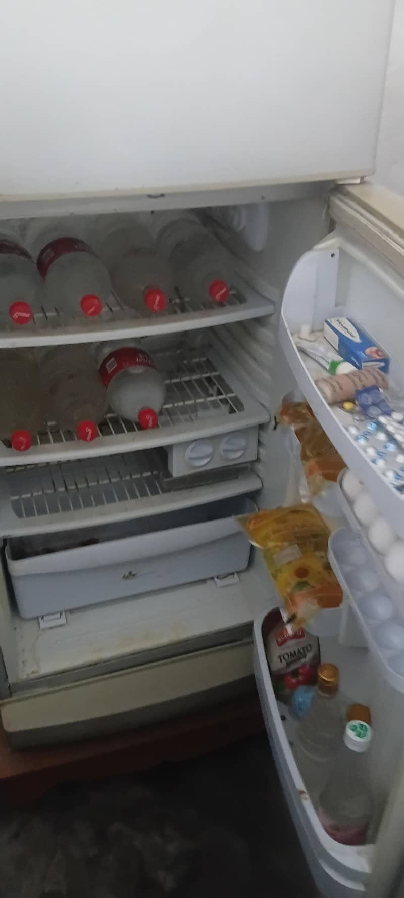 Pel Fridge 2