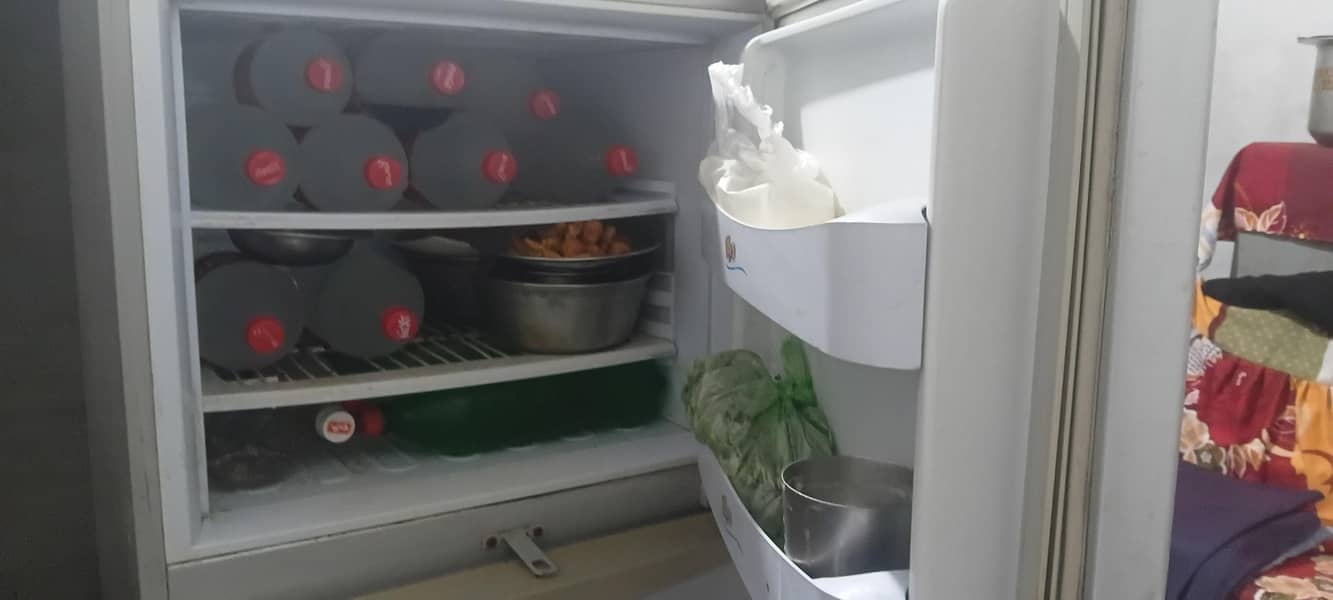 Pel Fridge 3
