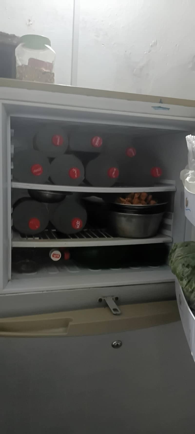 Pel Fridge 4