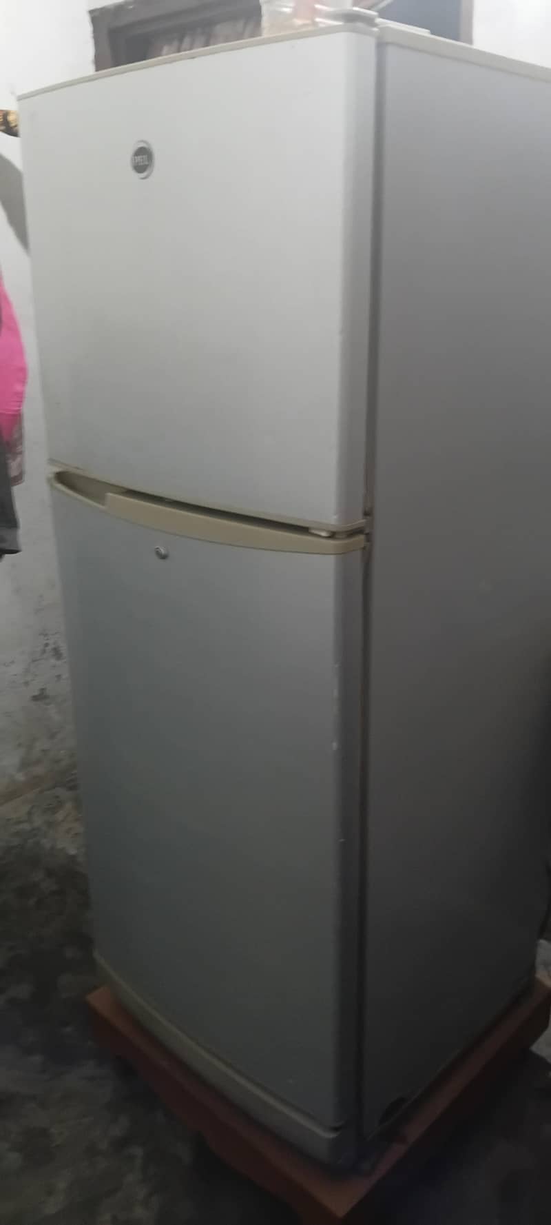 Pel Fridge 5