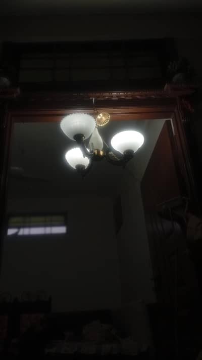 fancy fanoos lights