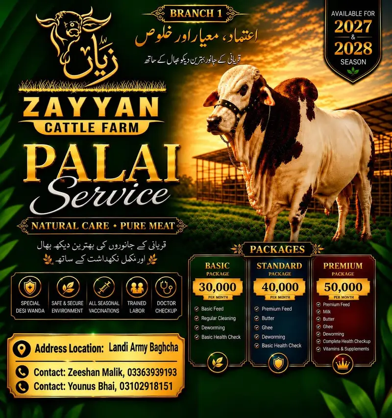 ZAYYAN CATTLE FARM — photo 3