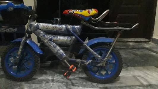 Mini cycle