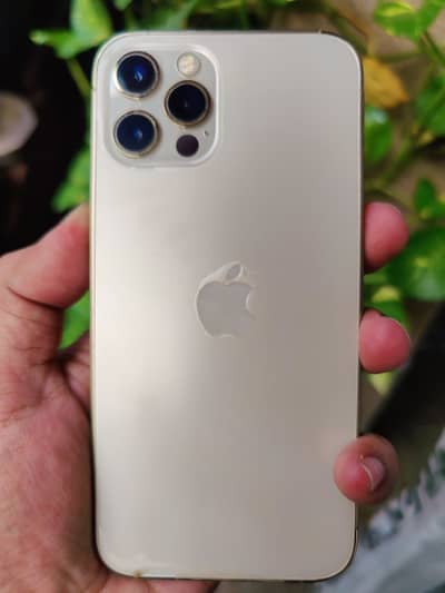 Apple iPhone 12 Pro