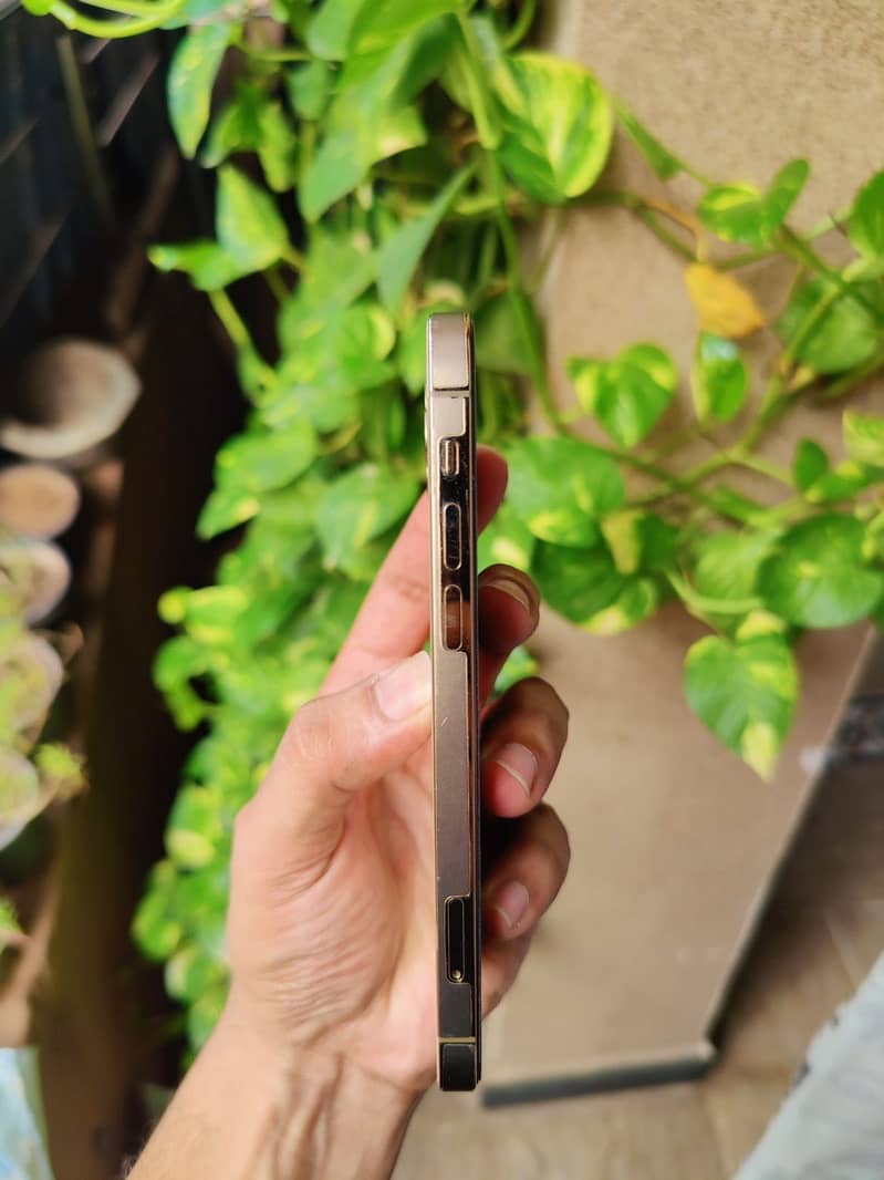 Apple iPhone 12 Pro 1
