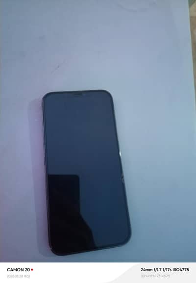Apple iPhone 12 Pro Max