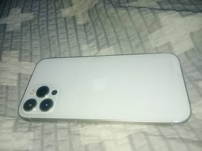Apple iPhone 12 Pro Max 1