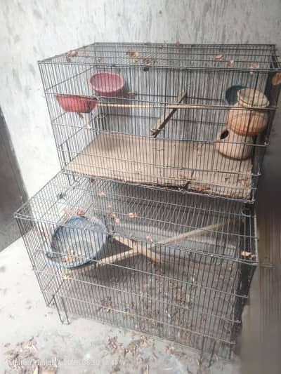 2 Big Iron Cages