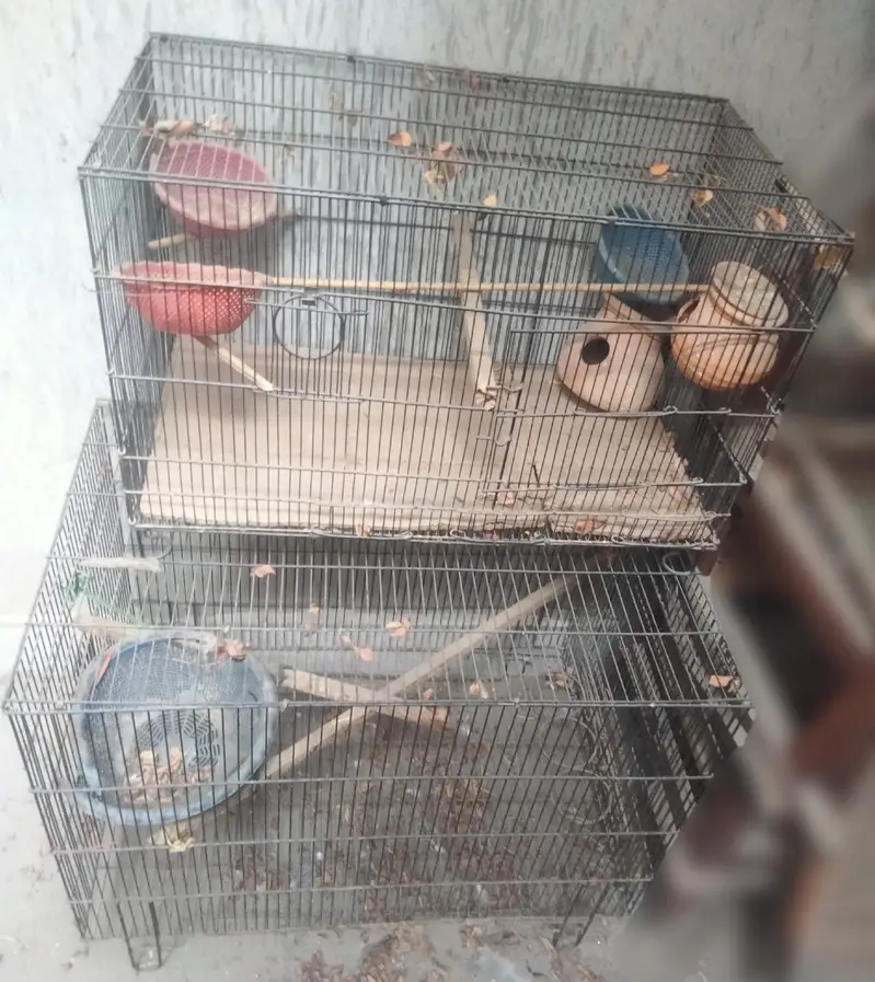 2 Big Iron Cages — photo 2