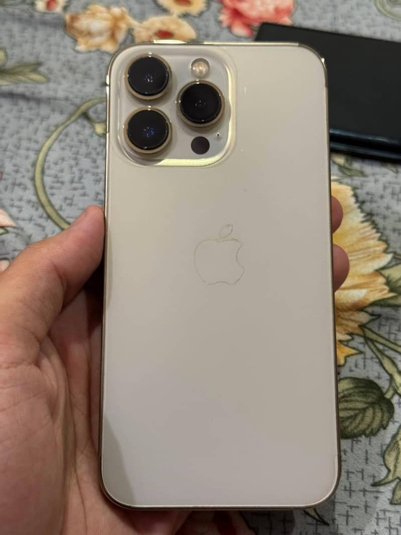 Apple iPhone 13 Pro 0