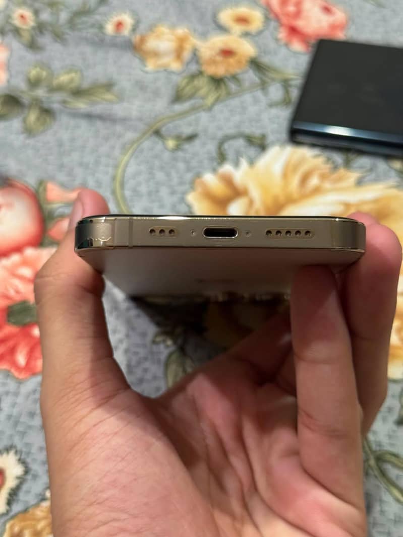 Apple iPhone 13 Pro 1