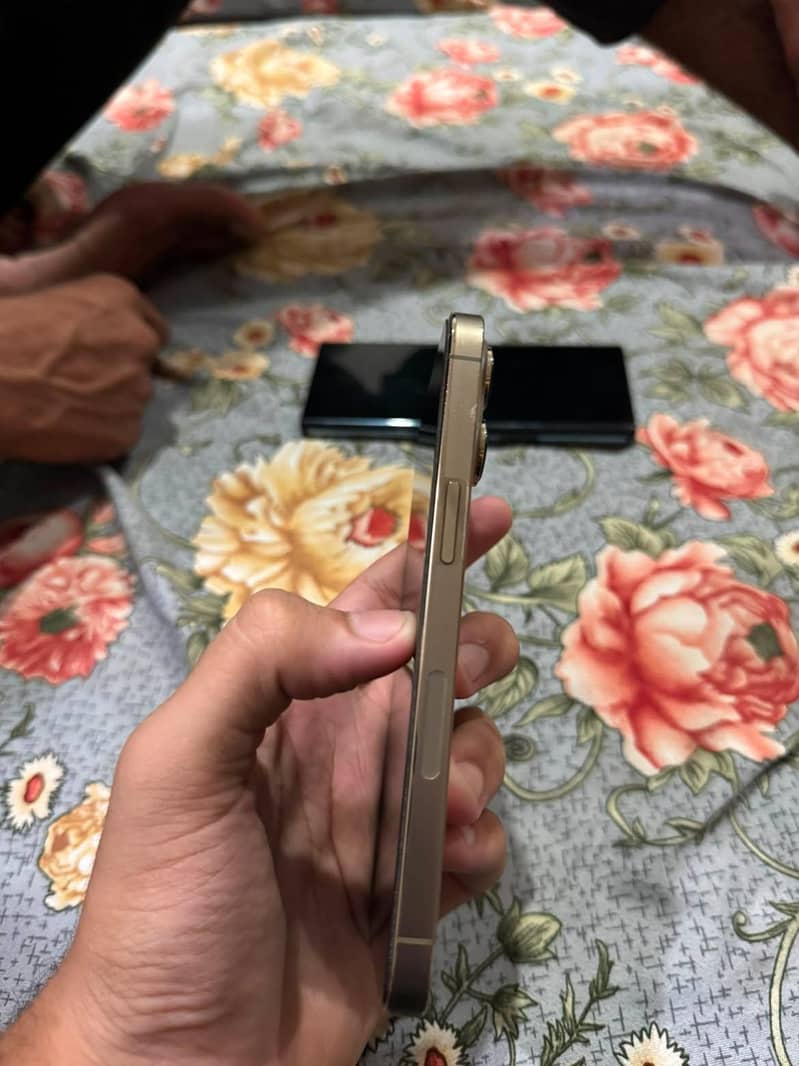 Apple iPhone 13 Pro 3