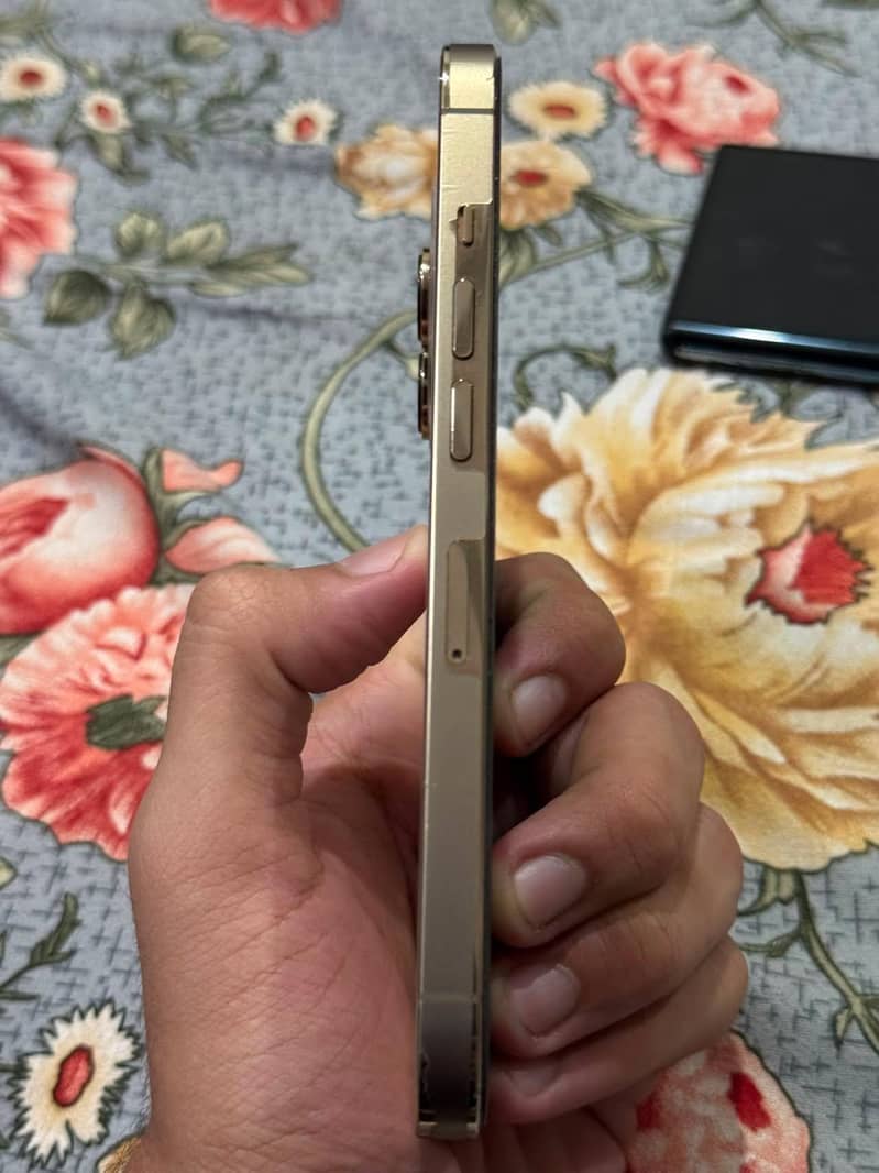 Apple iPhone 13 Pro 4