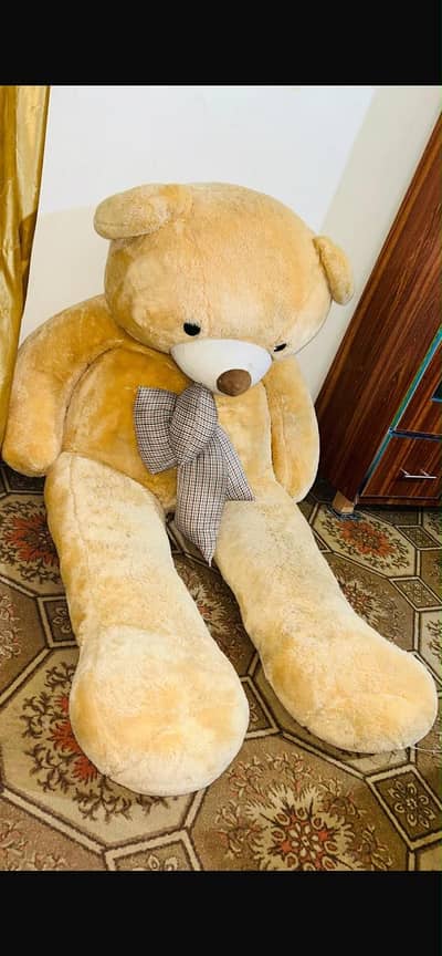 Teddy Bear large Size in 10/10 Condition