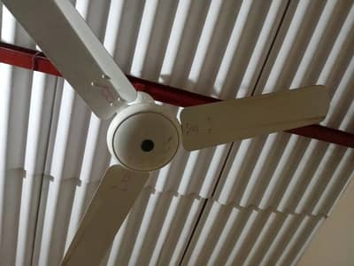 royal fan 50 watt