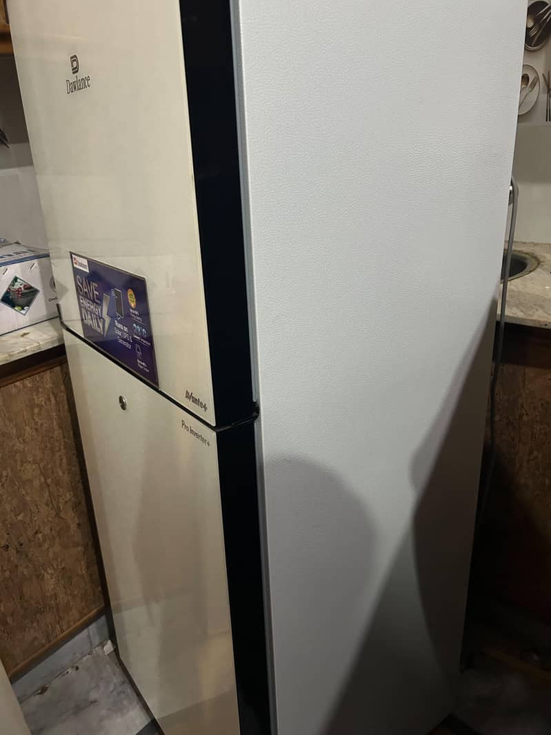Seiling Refrigerator 1