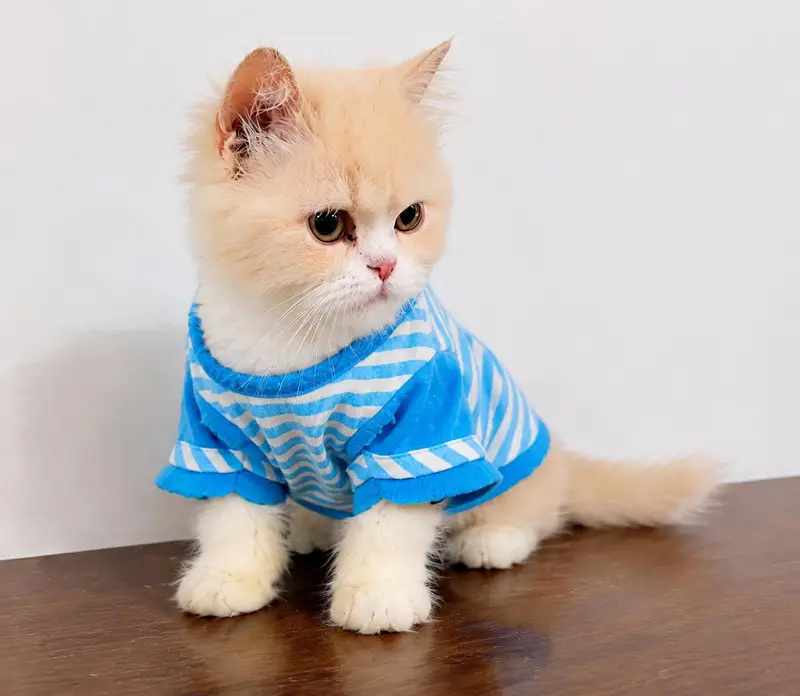 urgently for sale — photo 2