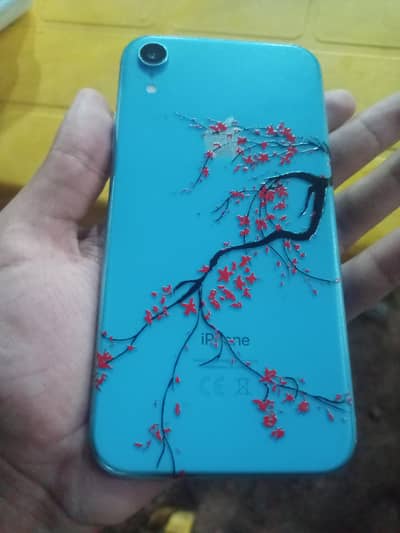 Apple iPhone XR Official Pta Approved