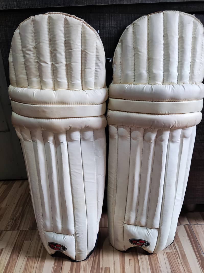 Cricket Kit 1