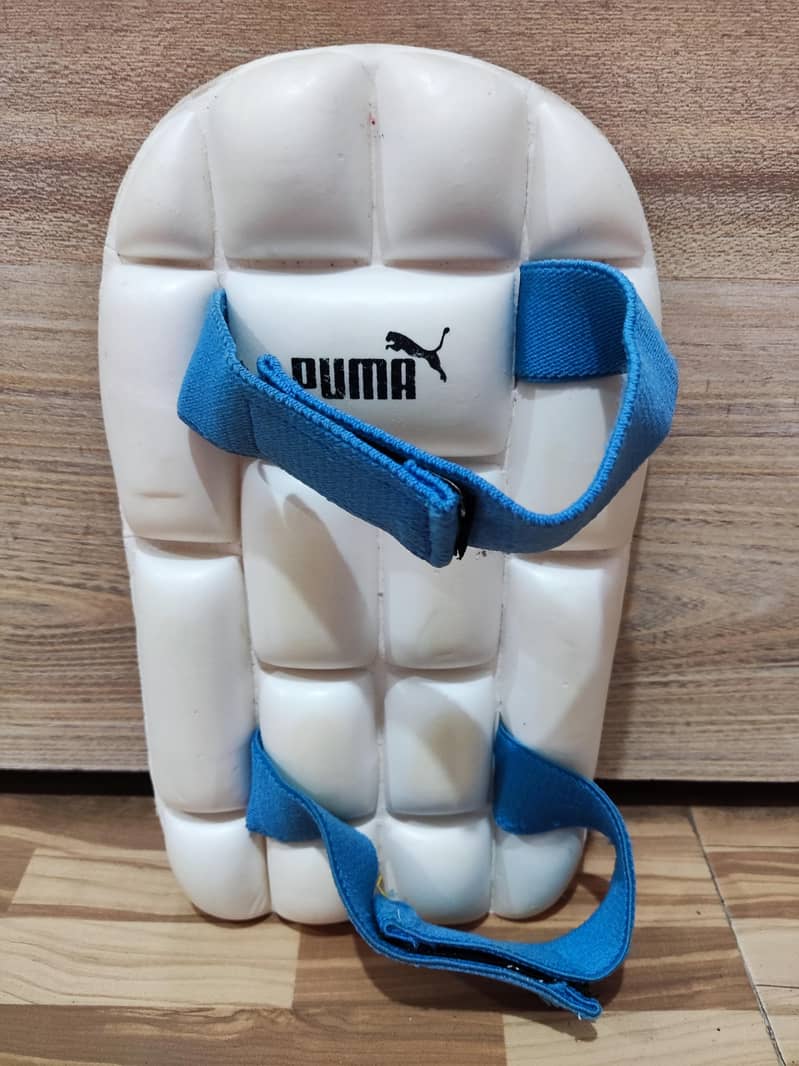 Cricket Kit 3